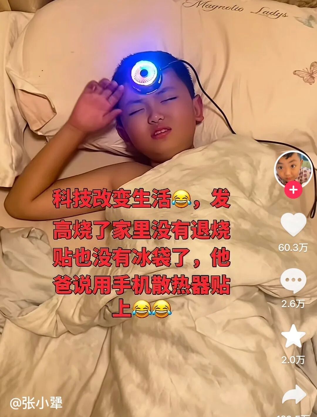Word文档图片