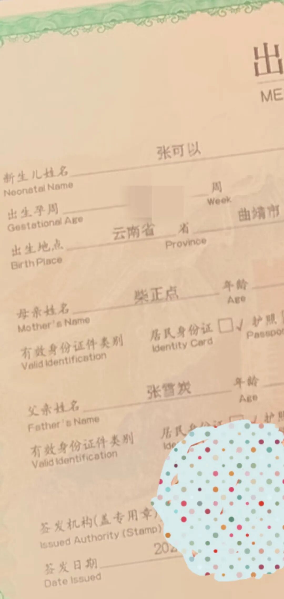 Word文档图片