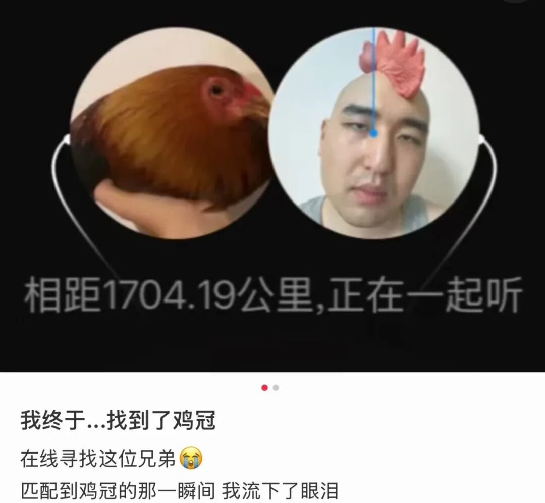 Word文档图片
