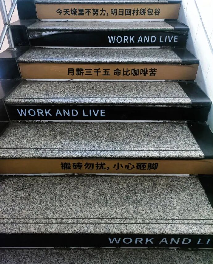 Word文档图片