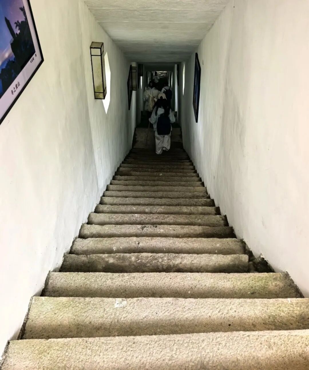 Word文档图片