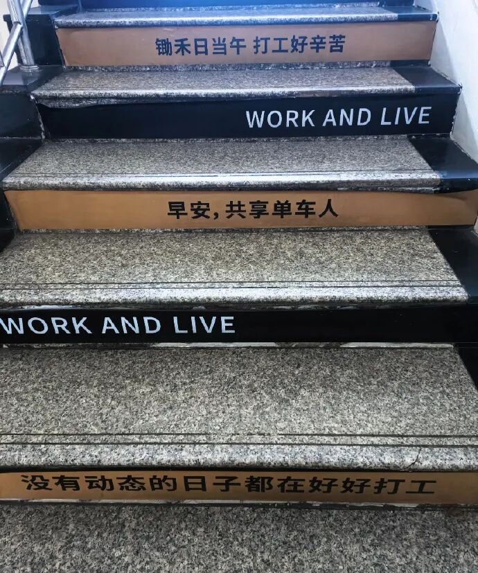 Word文档图片