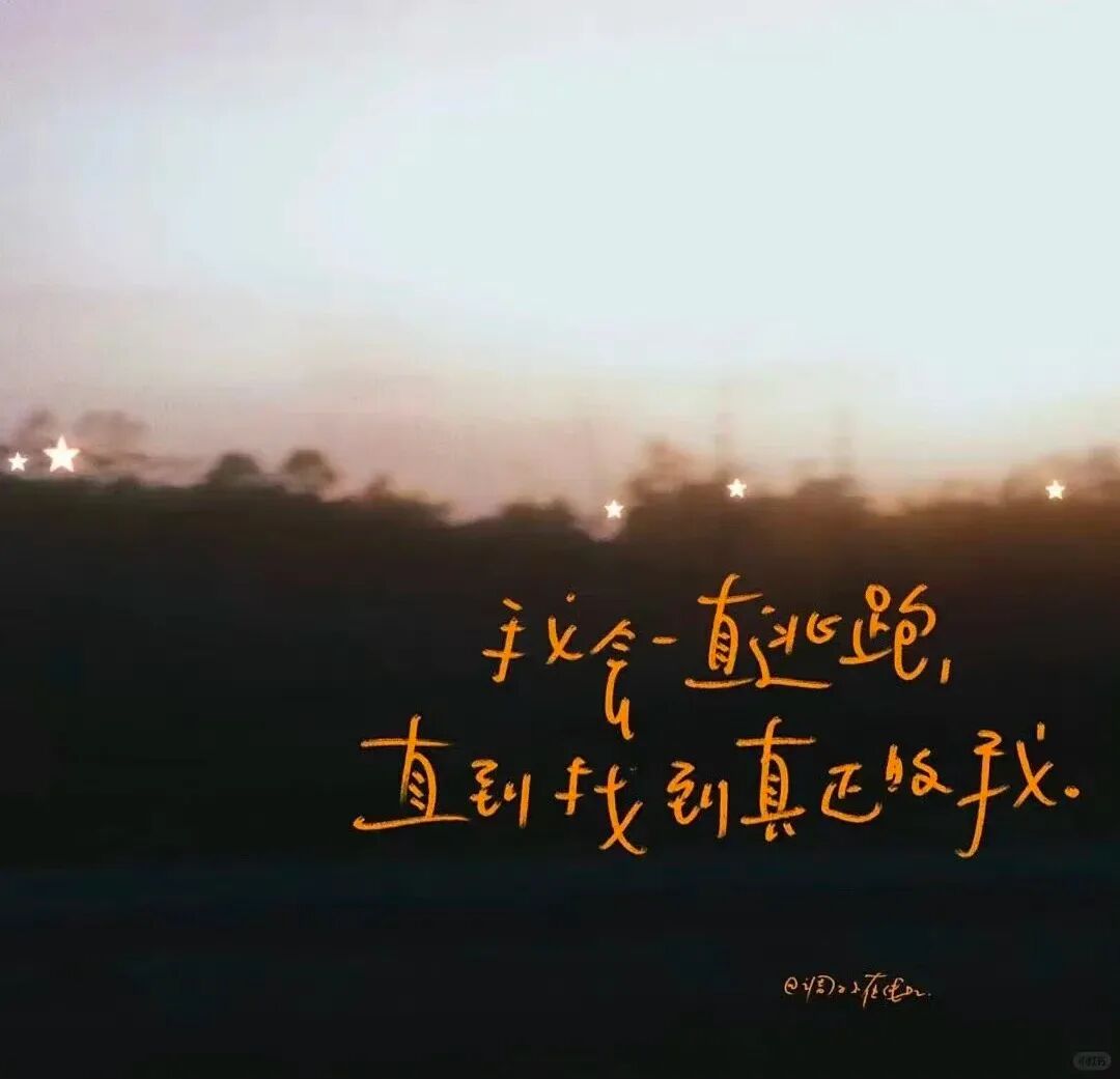 Word文档图片