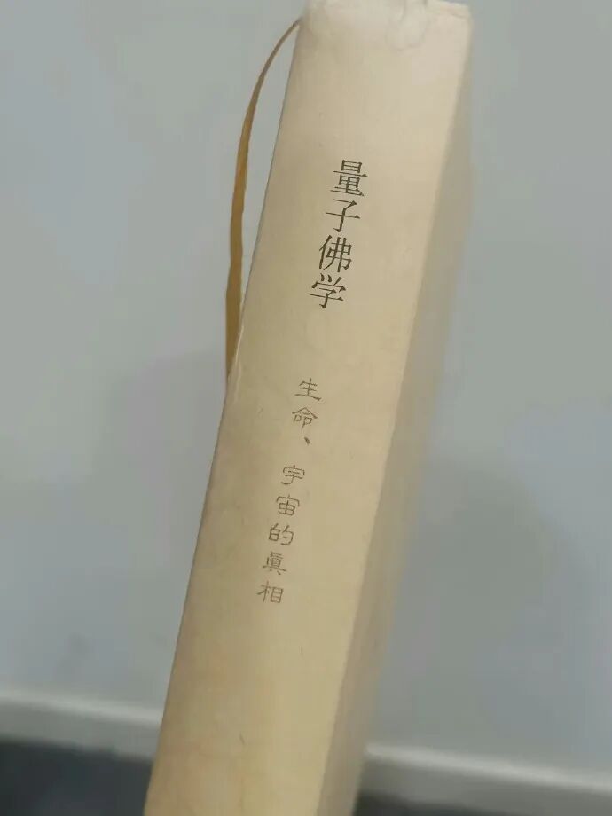 Word文档图片