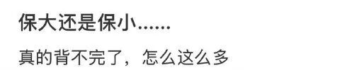 Word文档图片