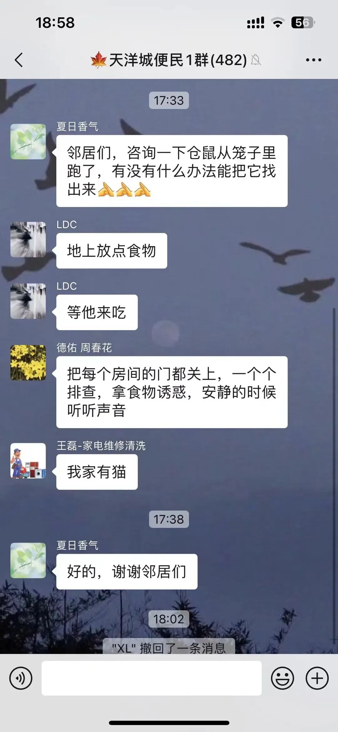 Word文档图片