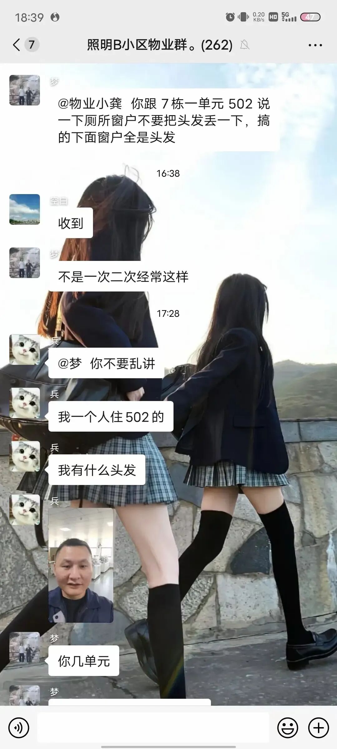 Word文档图片