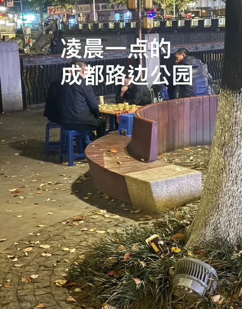 Word文档图片