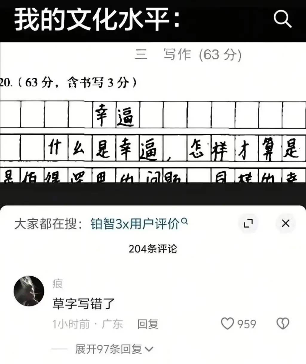 Word文档图片