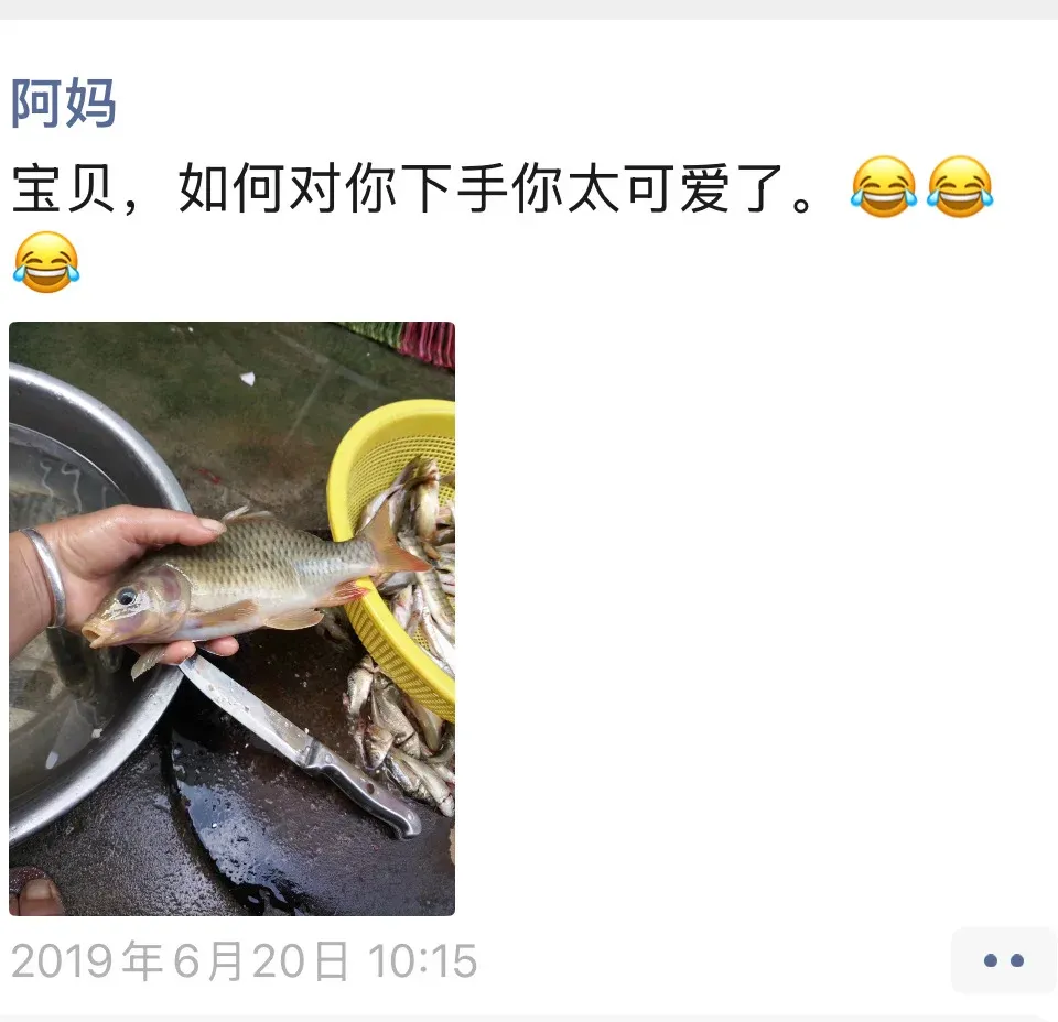 Word文档图片