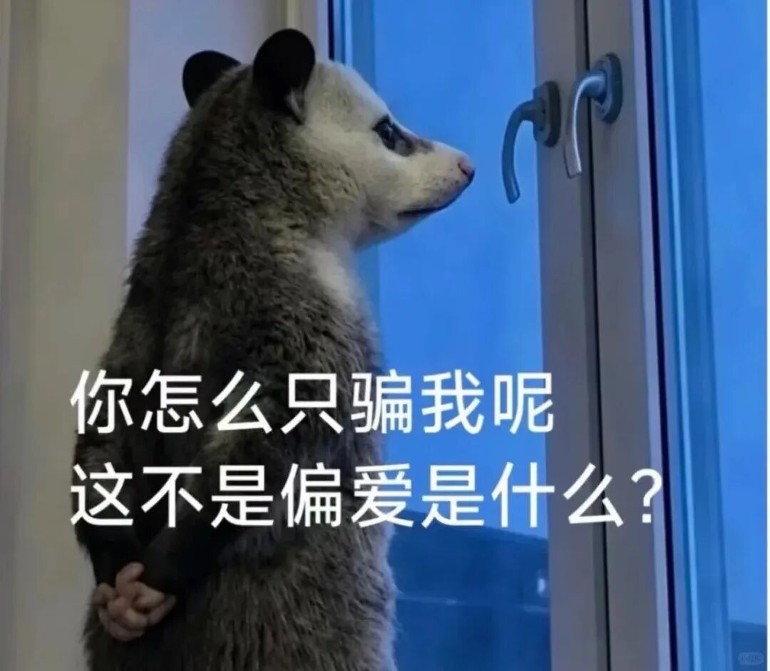 Word文档图片