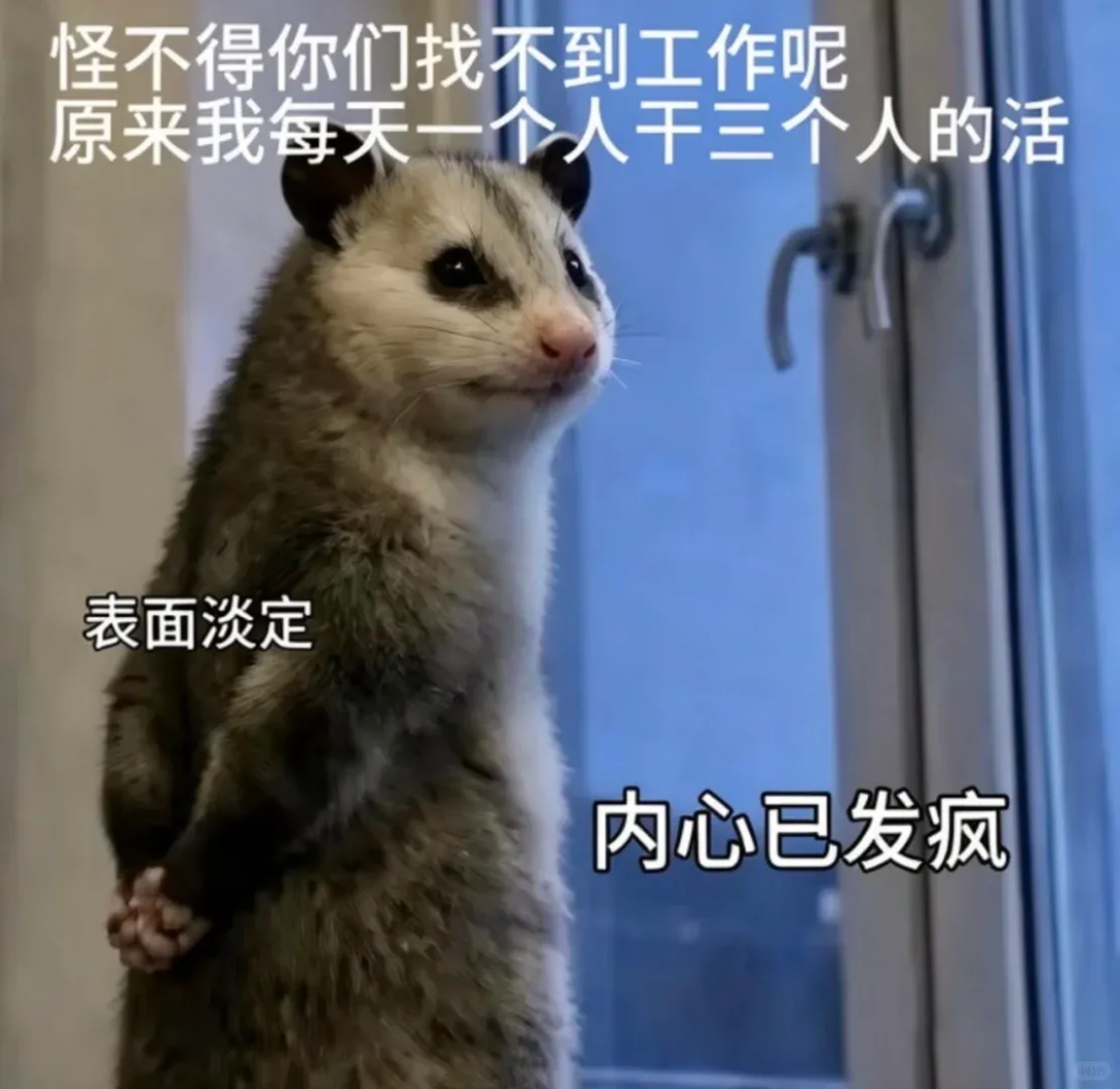 Word文档图片