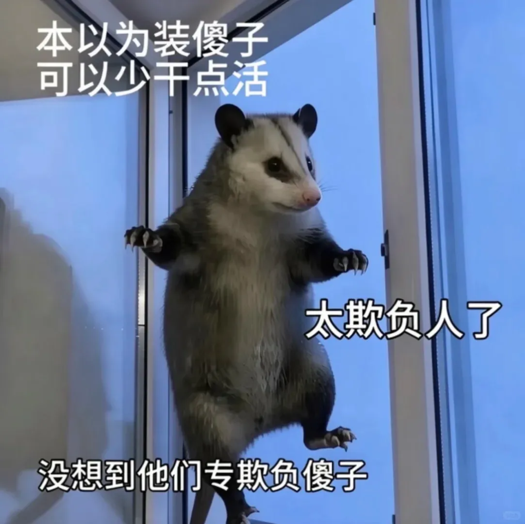 Word文档图片