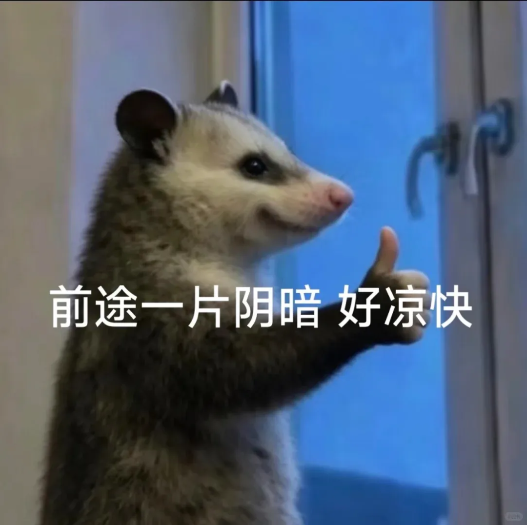 Word文档图片