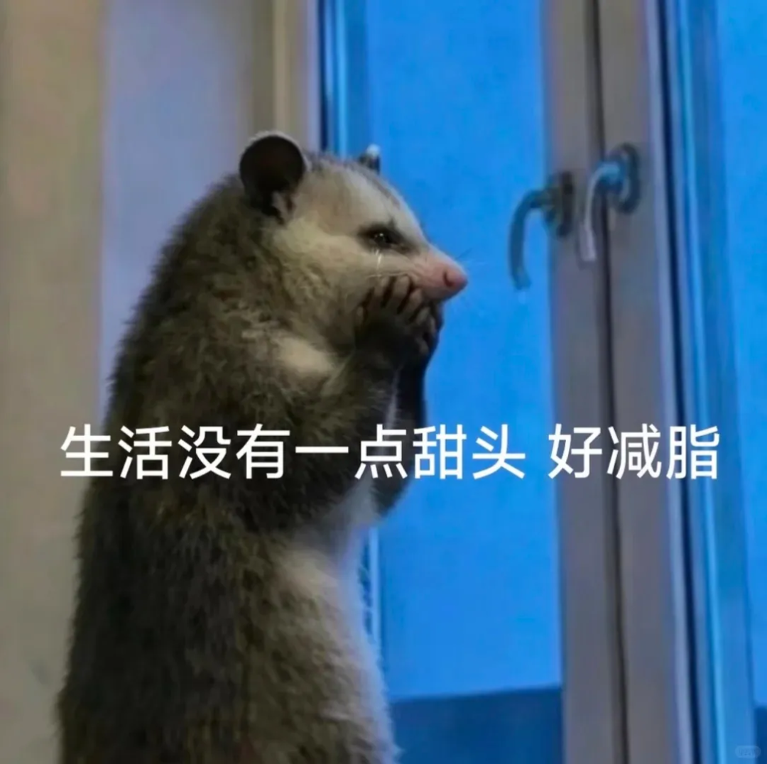 Word文档图片