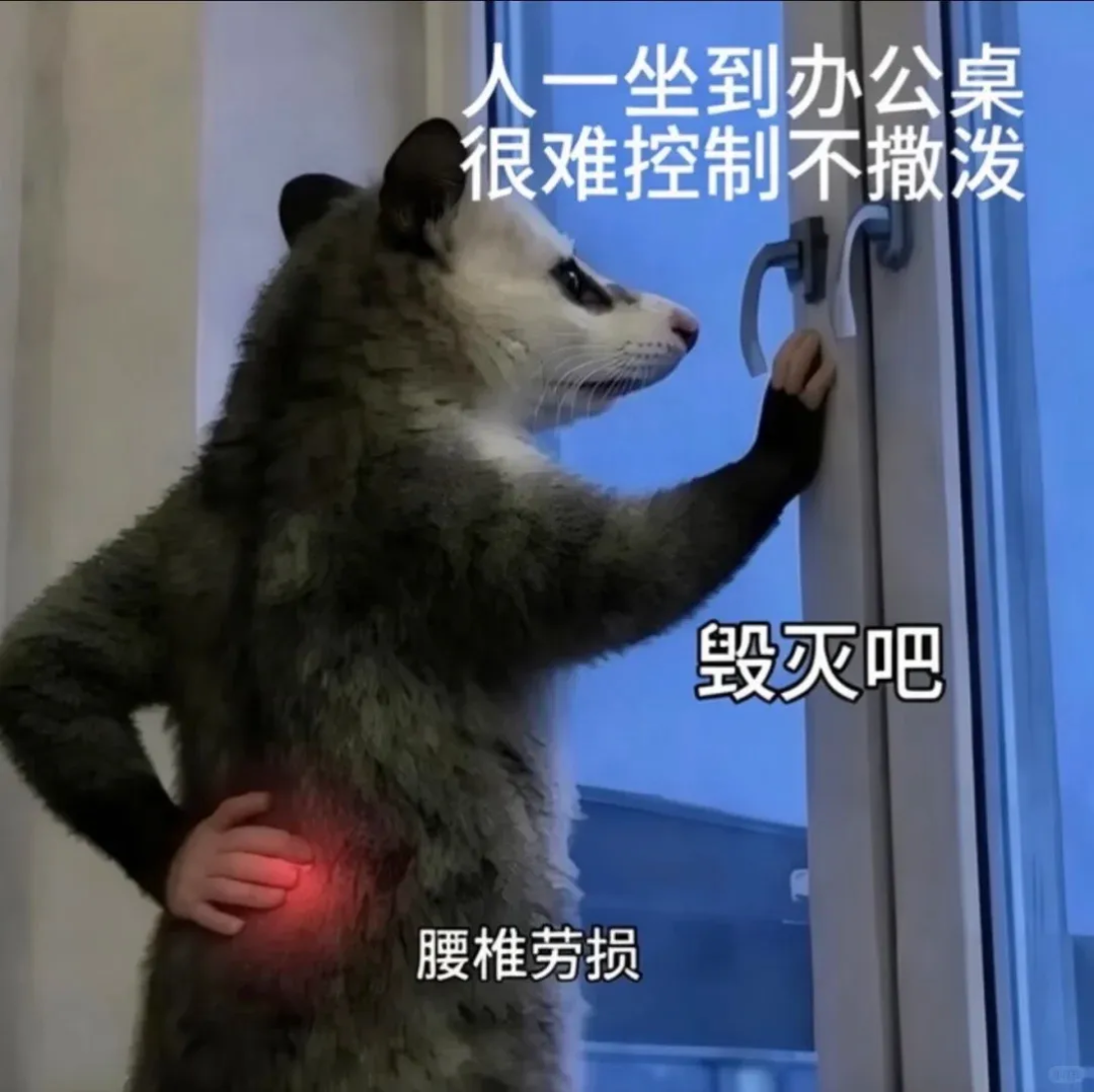 Word文档图片