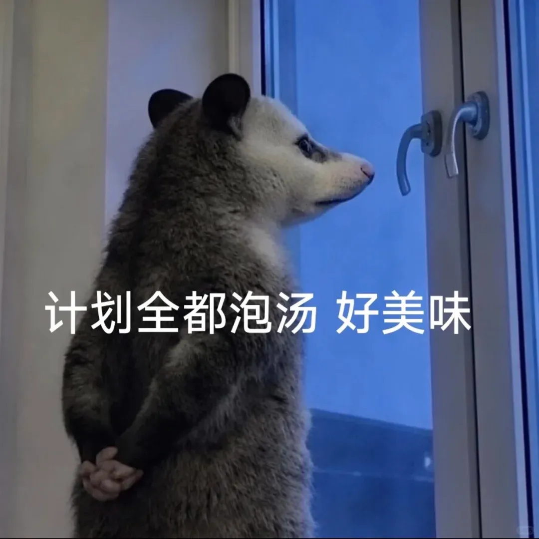 Word文档图片