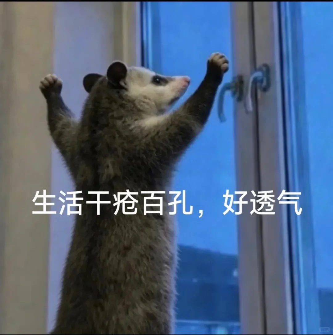 Word文档图片