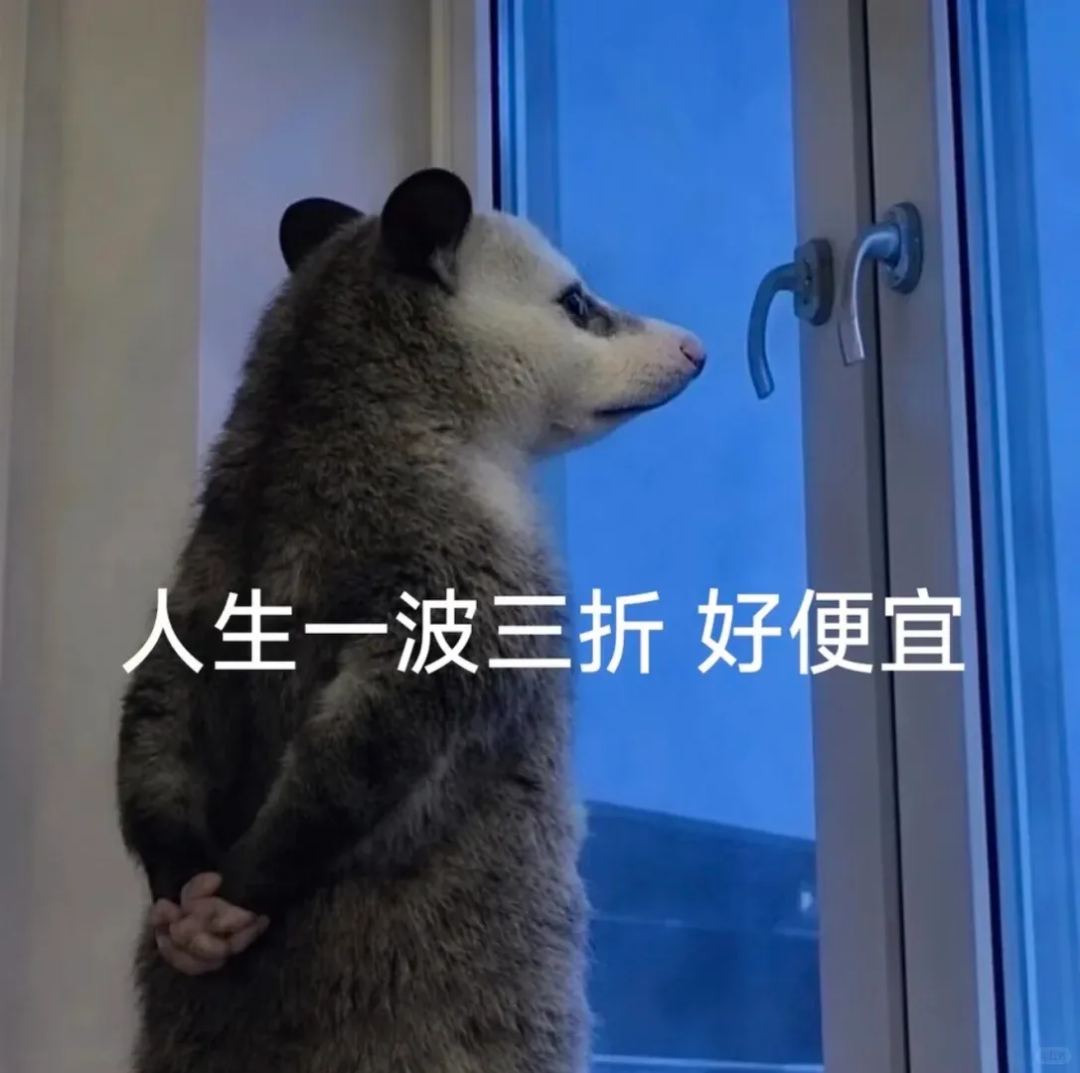 Word文档图片