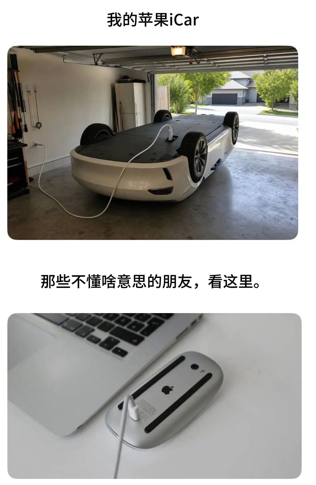 Word文档图片