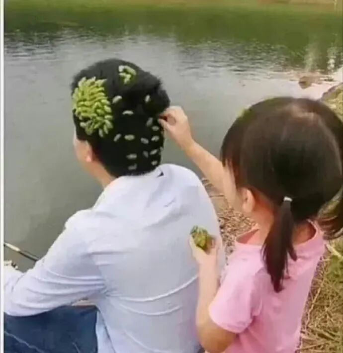 Word文档图片