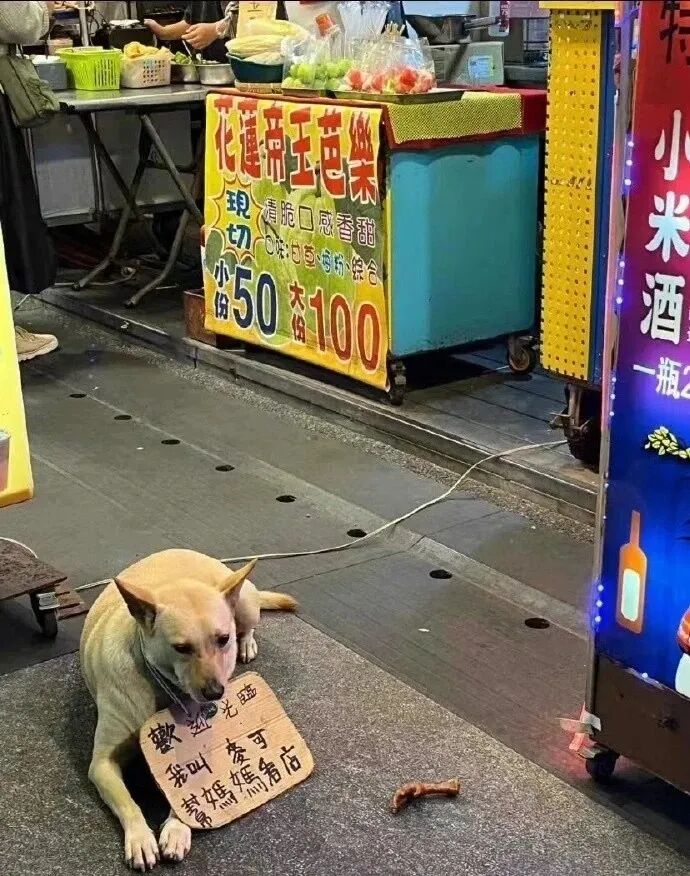 Word文档图片