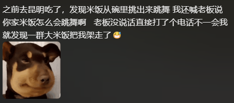 大家吃菌子都闹过什么笑话霸王龙有点吓人了