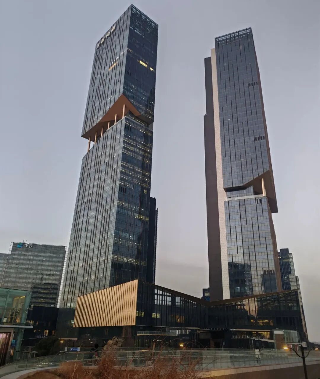 Word文档图片