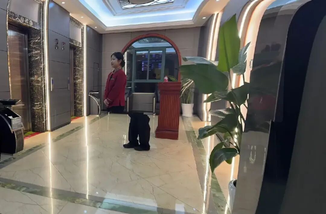 Word文档图片