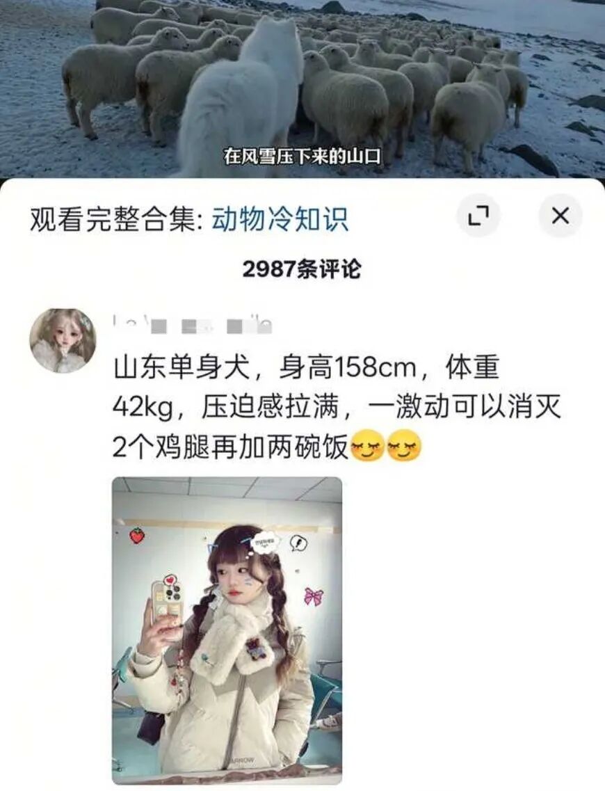 Word文档图片