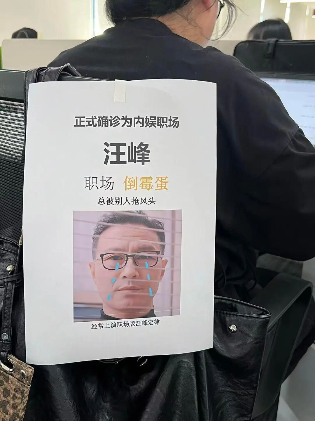 Word文档图片