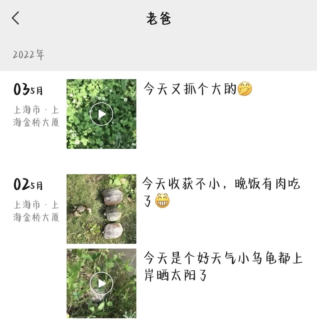 Word文档图片
