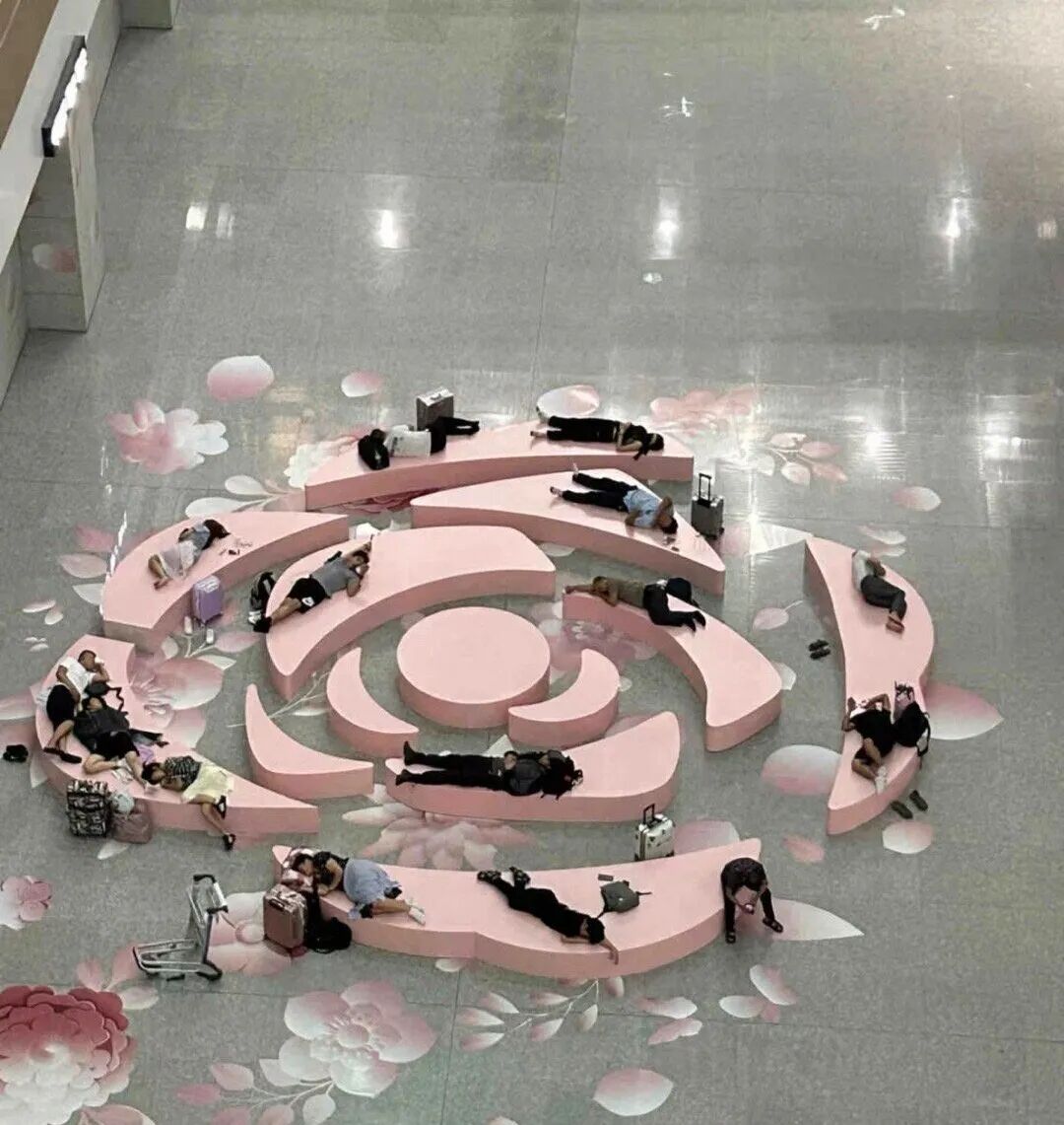 Word文档图片