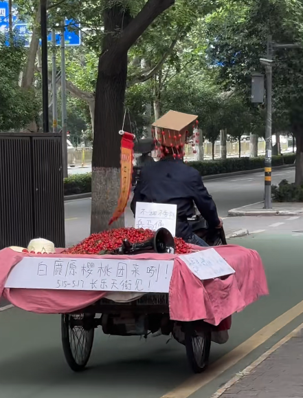 Word文档图片