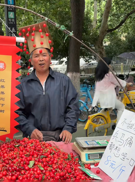 Word文档图片