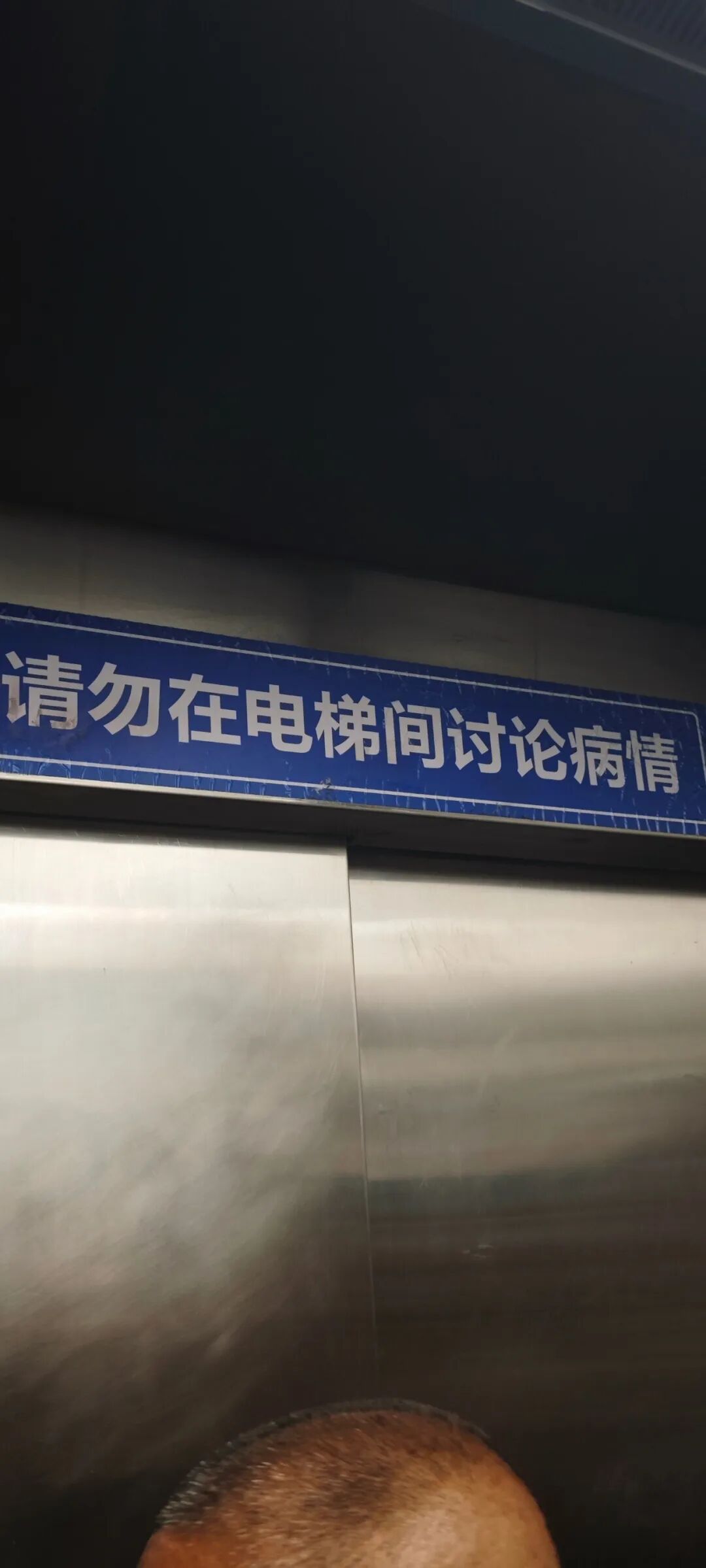 Word文档图片