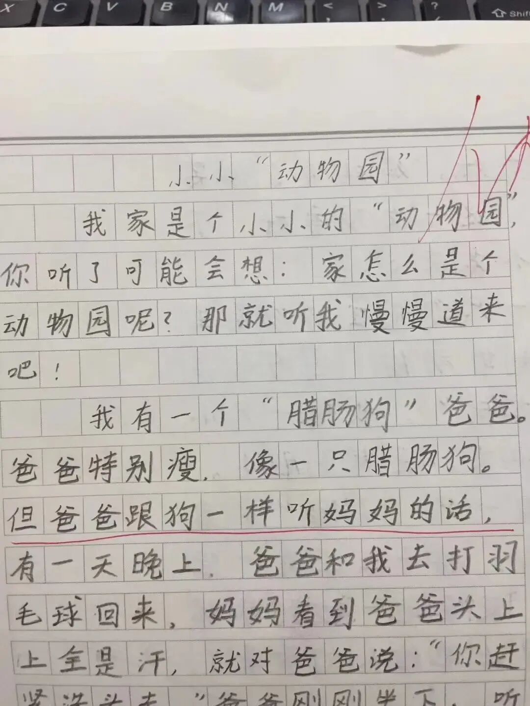 Word文档图片