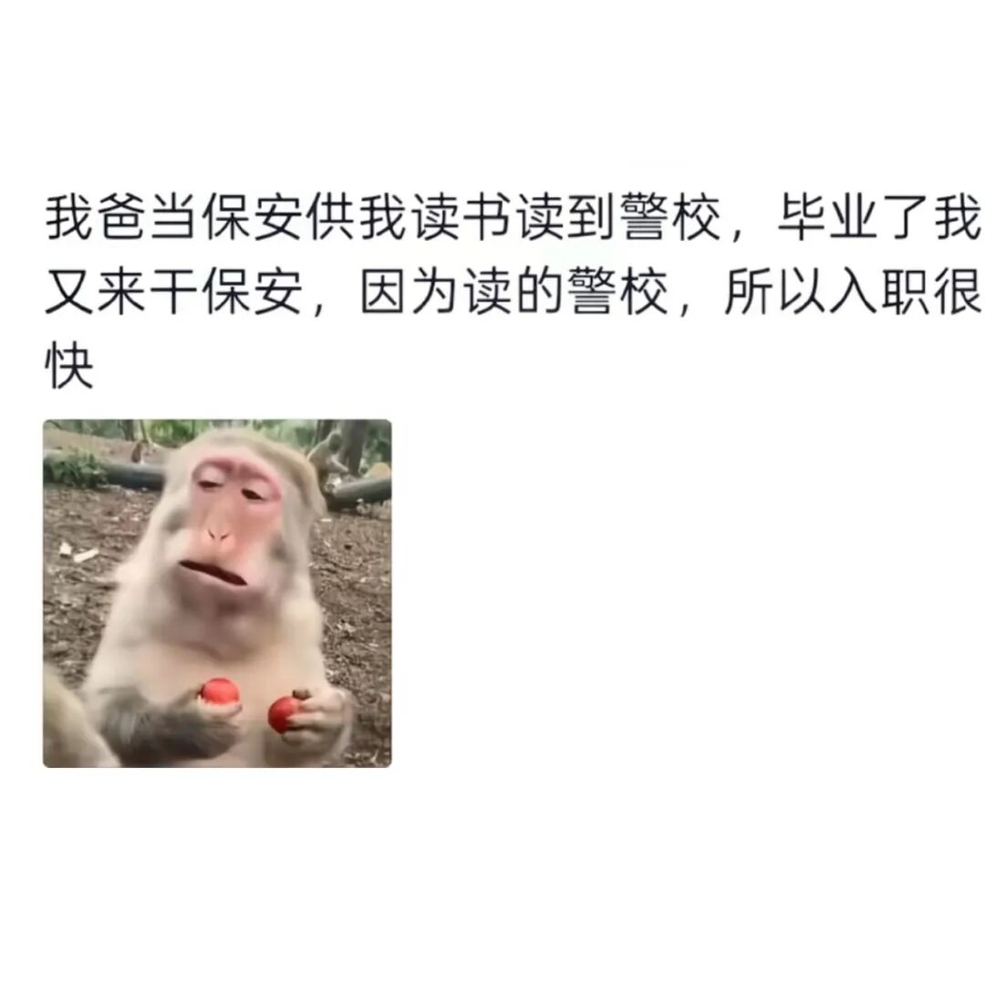 Word文档图片