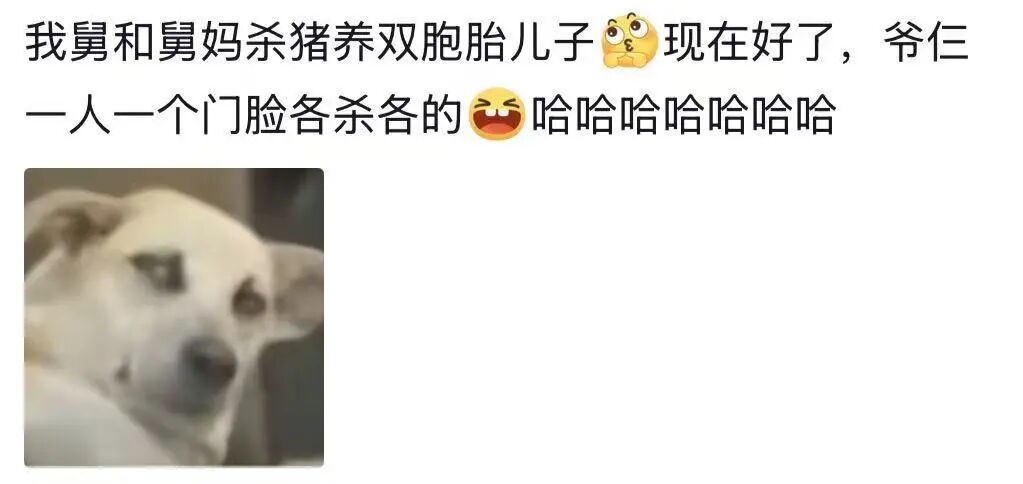 Word文档图片