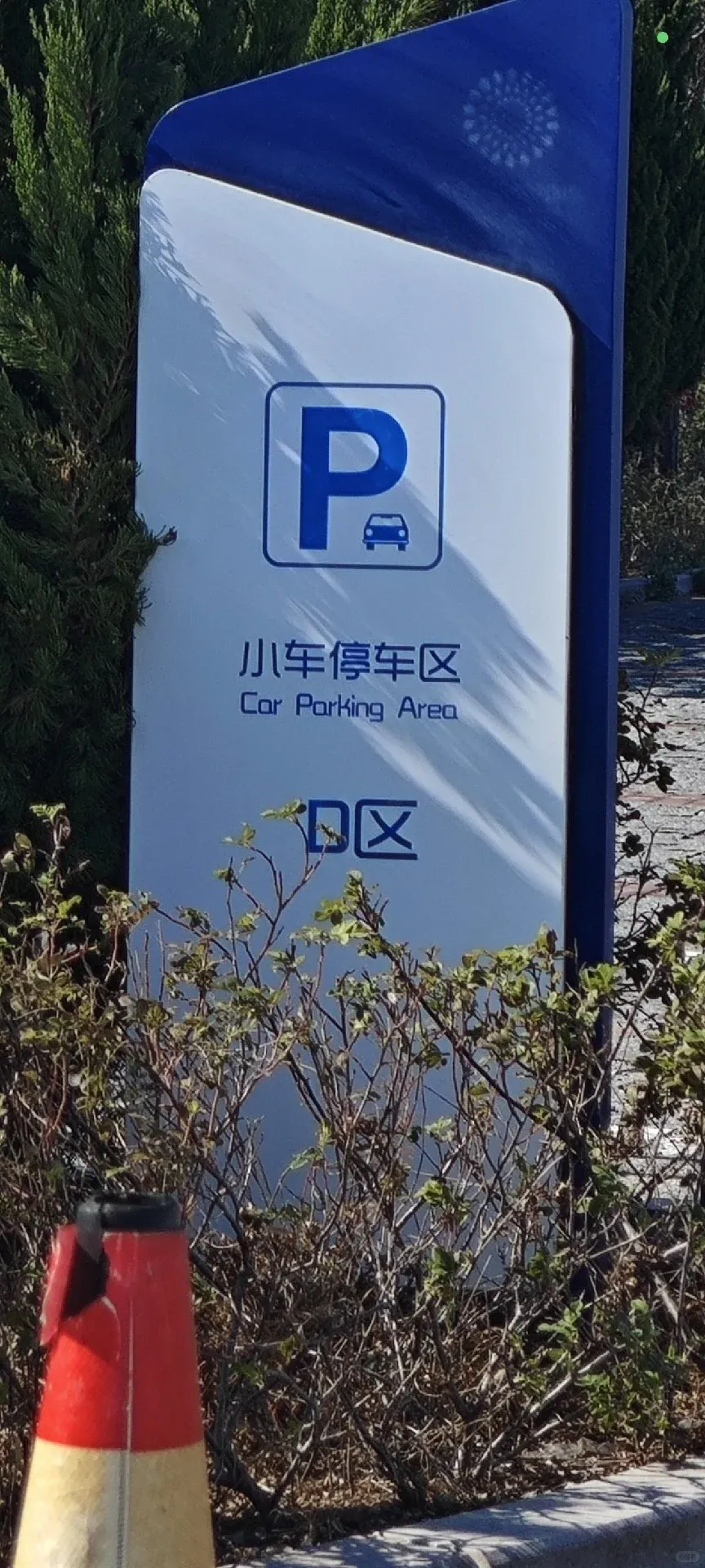 Word文档图片