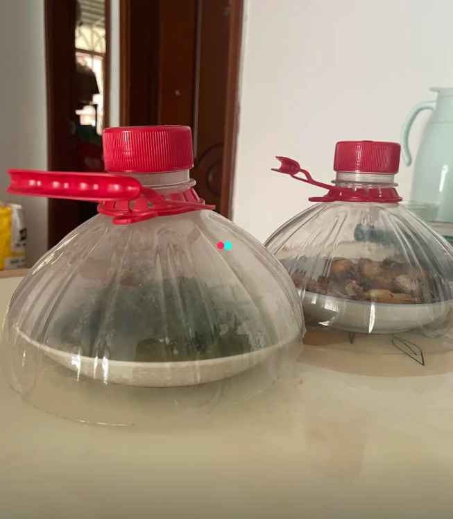 果然人在穷时脑子最好用全网封神的生活小妙招