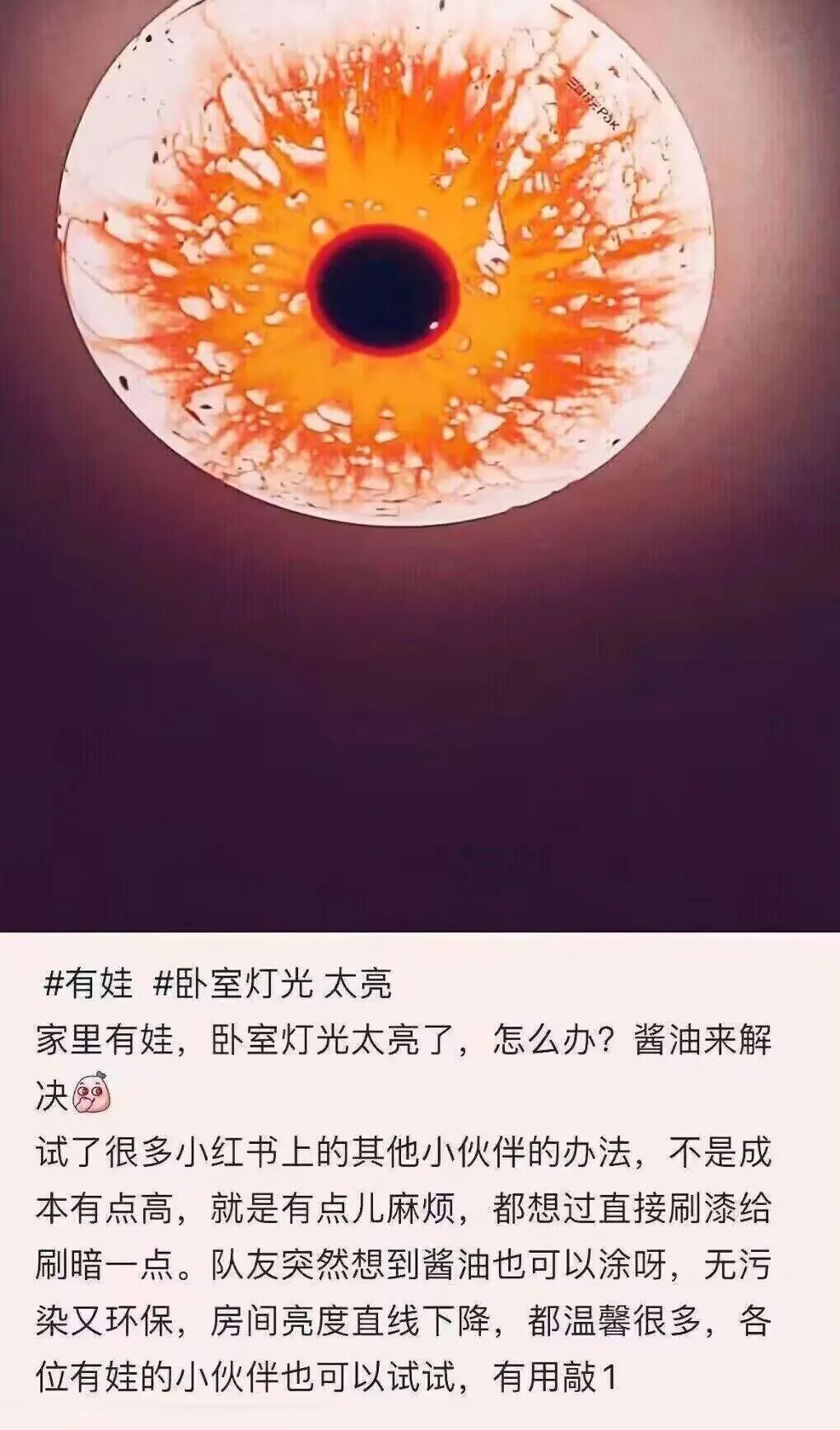 Word文档图片