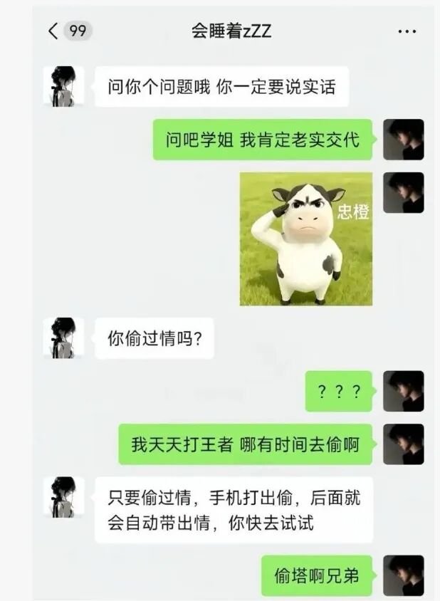 Word文档图片