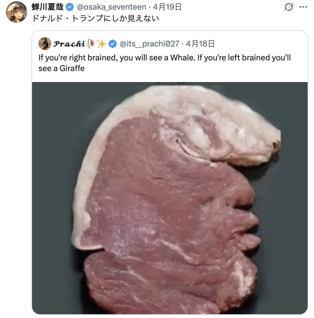 Word文档图片