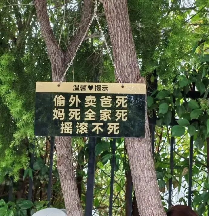 Word文档图片