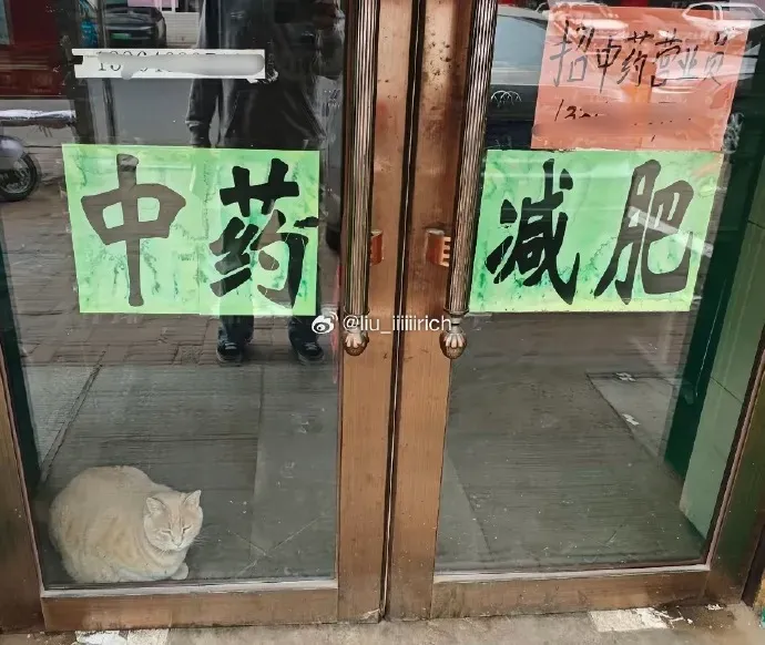 Word文档图片
