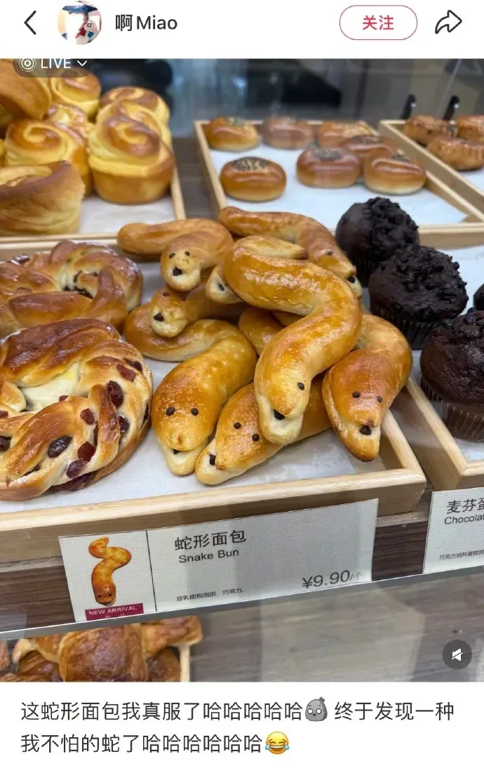 Word文档图片