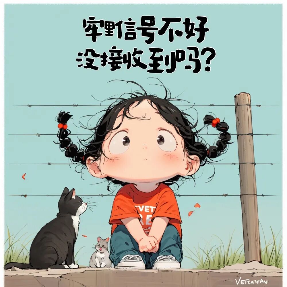 Word文档图片