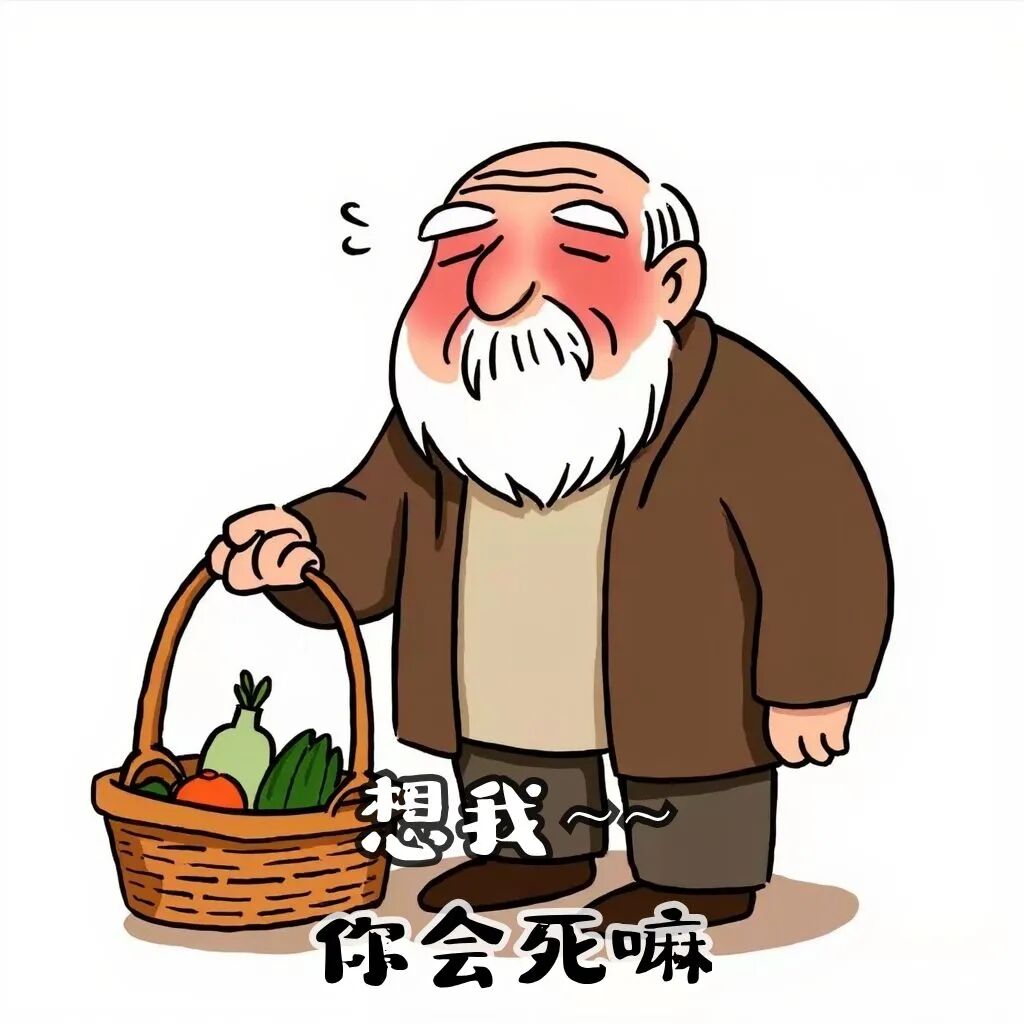 Word文档图片