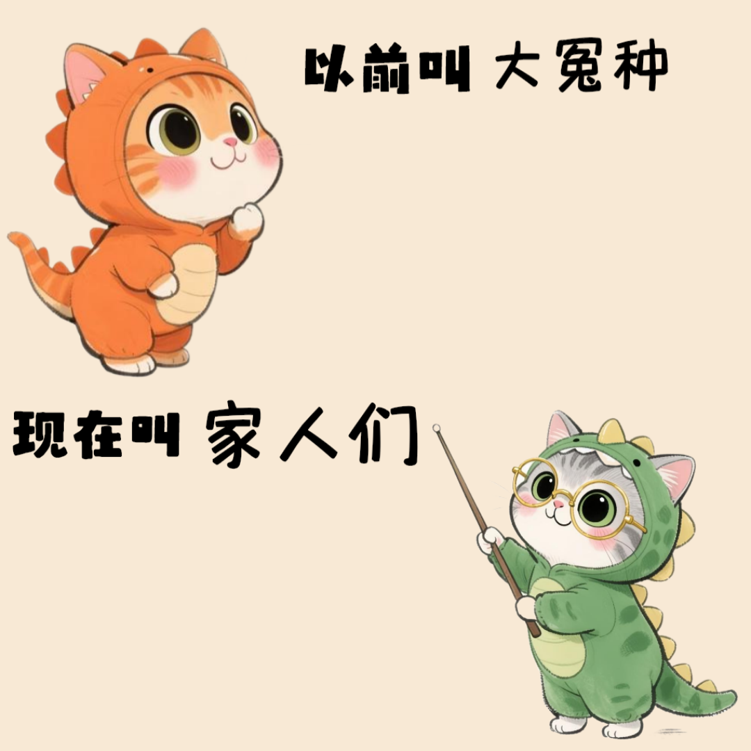 Word文档图片
